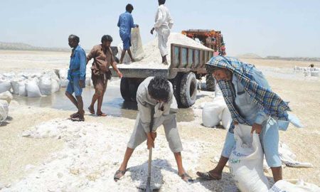 salt project Gwadar