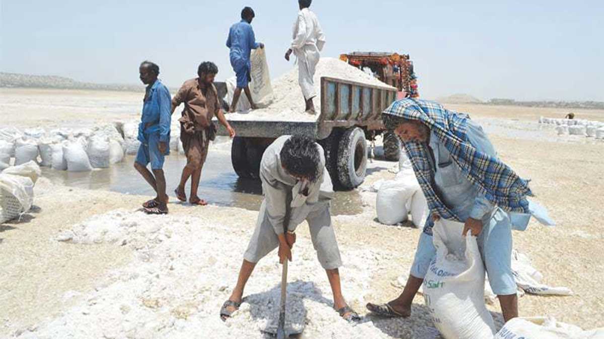 salt project Gwadar