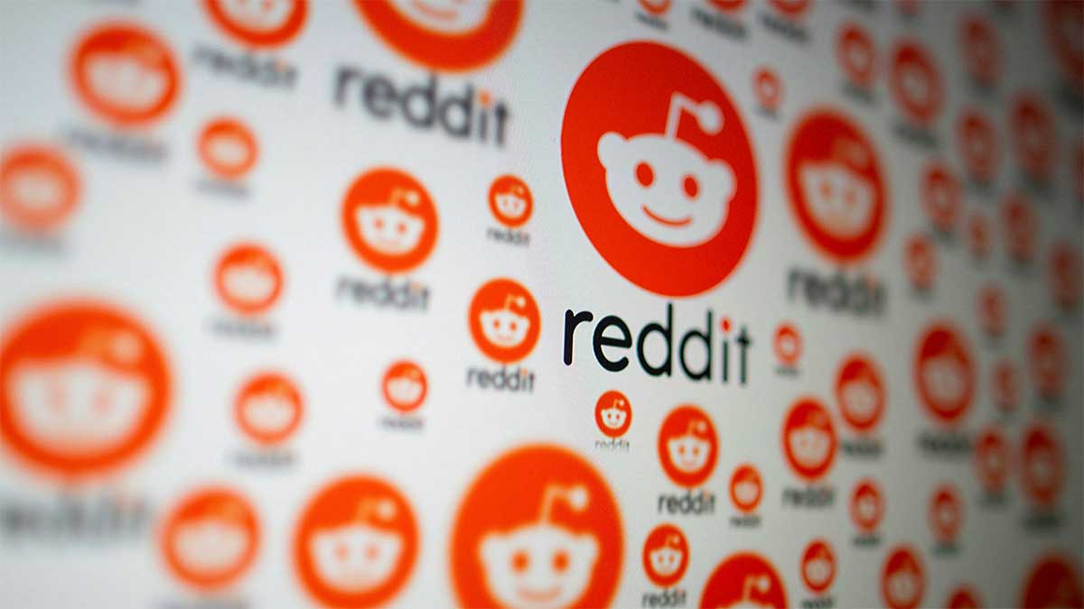 Reddit fundraising