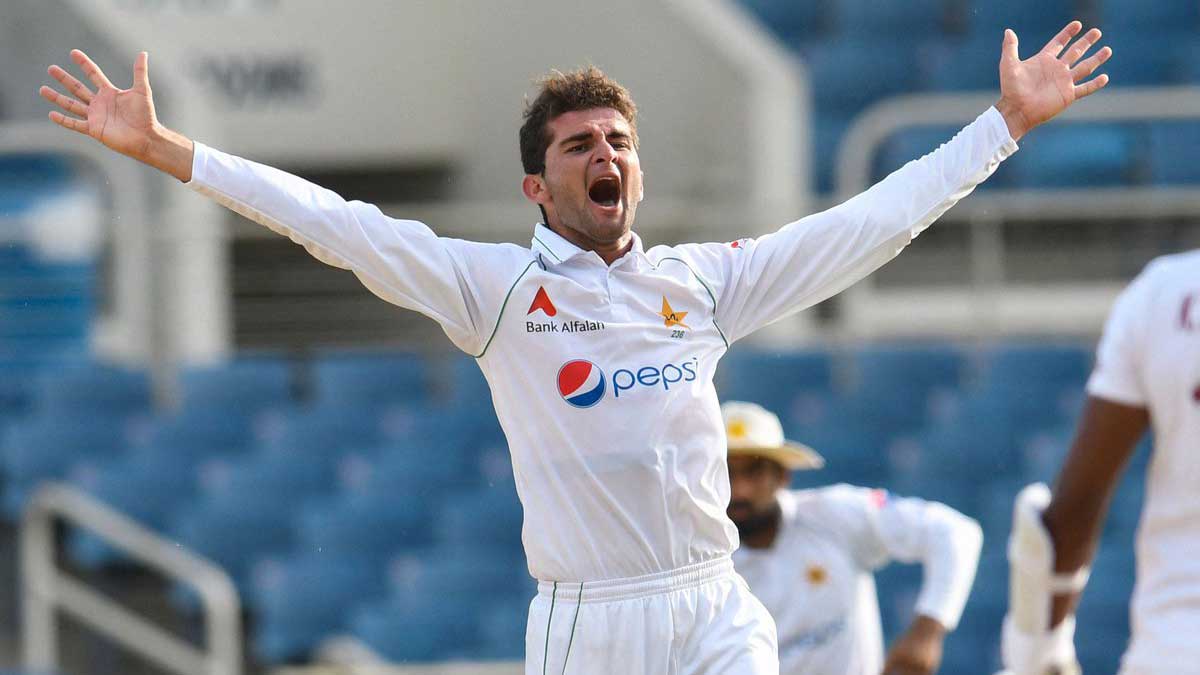 Shaheen Afridi