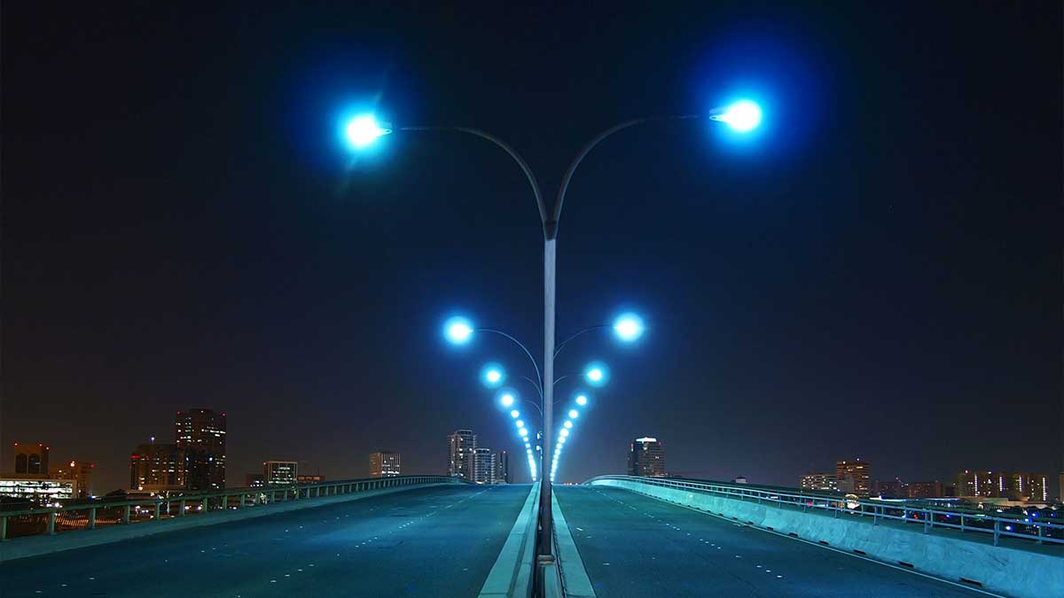 Streetlights insect