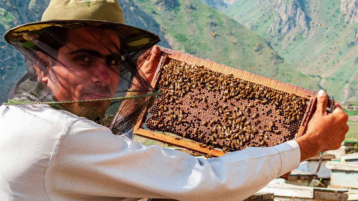 honey Pakistan