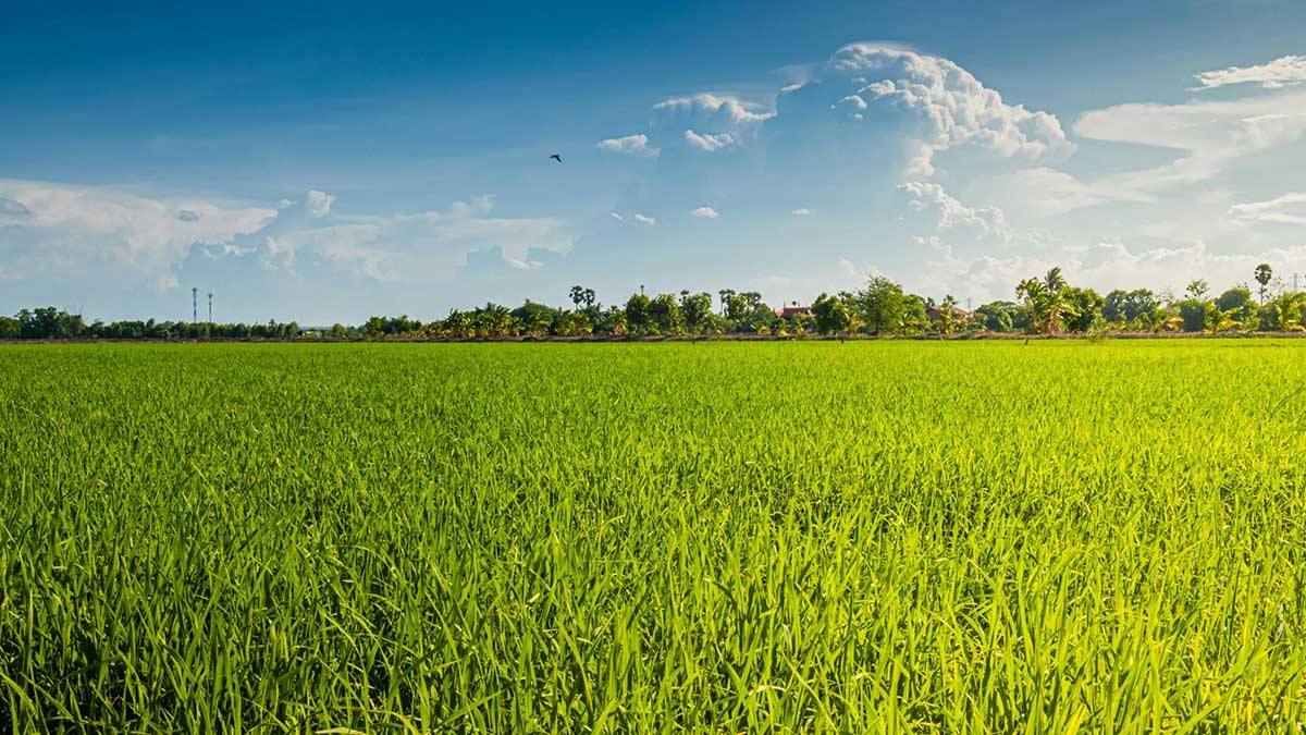 agriculture commission