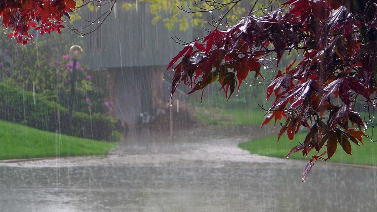 average rainfall