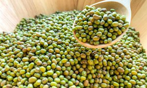 mung beans