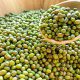 mung beans