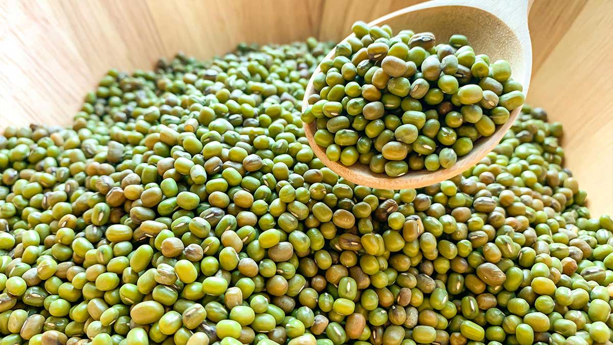 mung beans