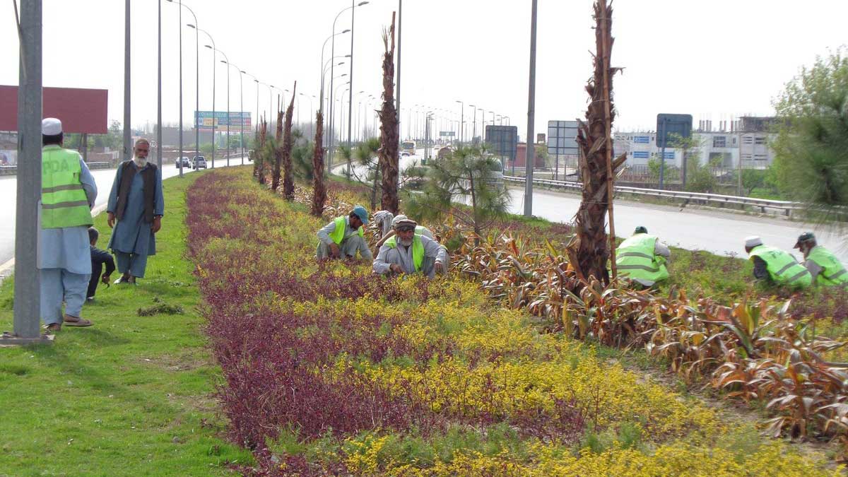 plantation horticulture