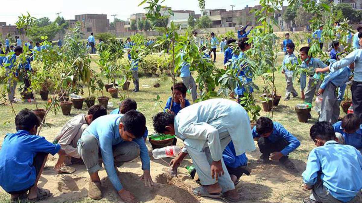planting saplings in Faisalabad