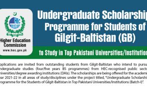 undergraduate scholarships