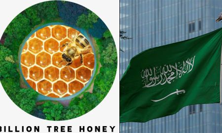 Billion Tree Honey