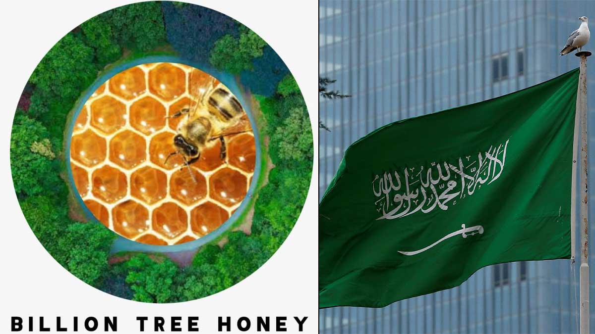 Billion Tree Honey