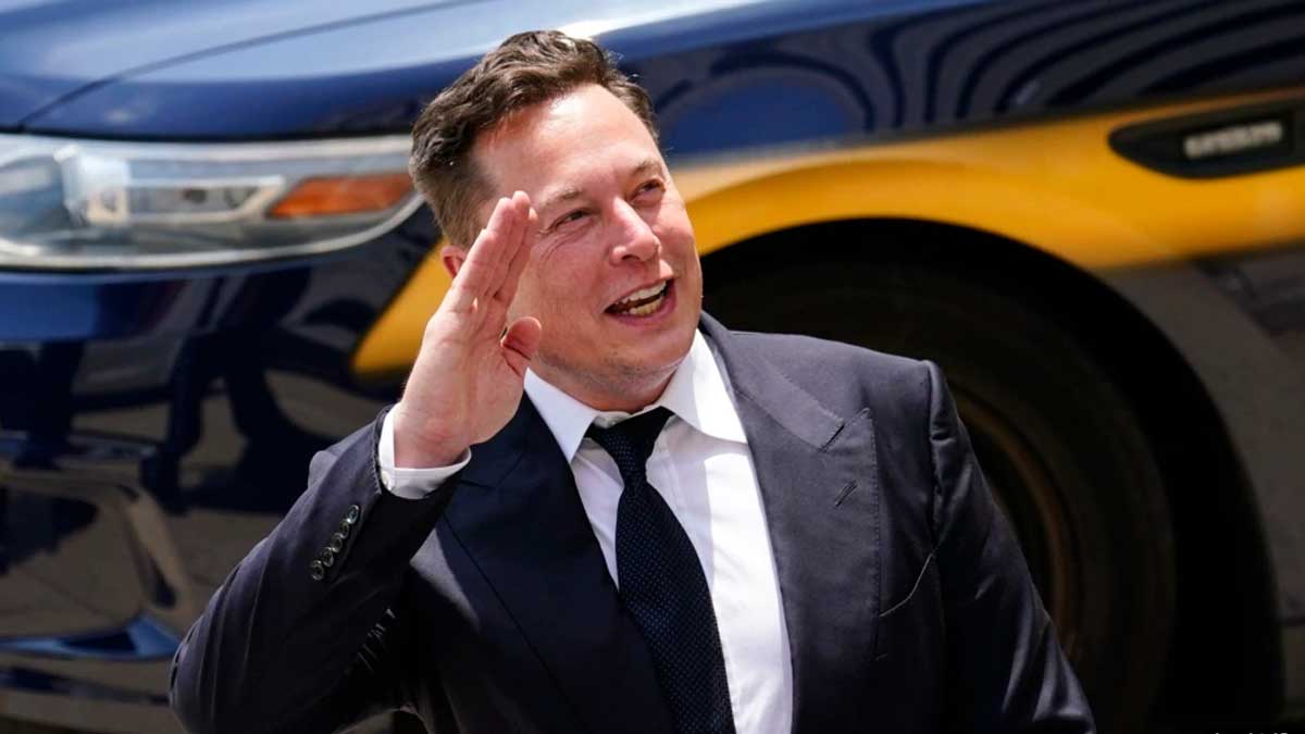 Tesla shares