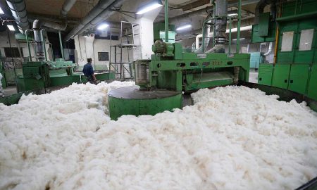 cotton production