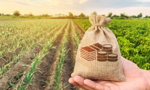 agricultural loans