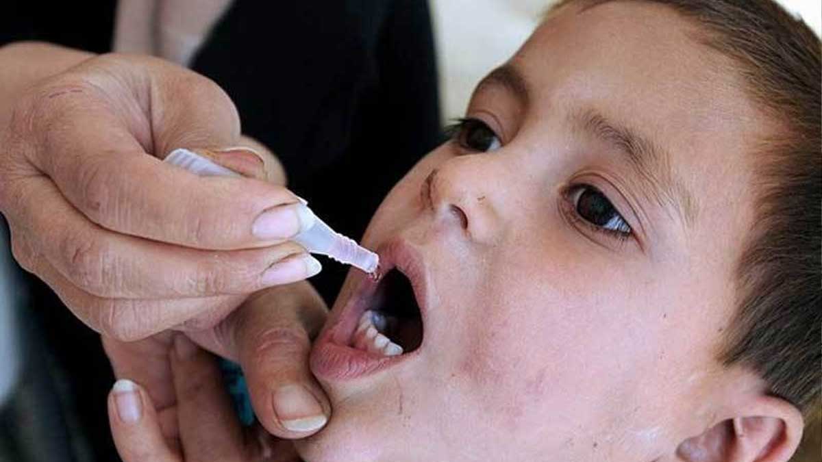 polio free