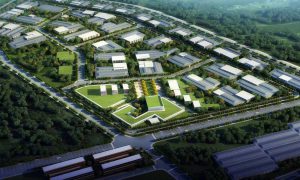 special economic zones
