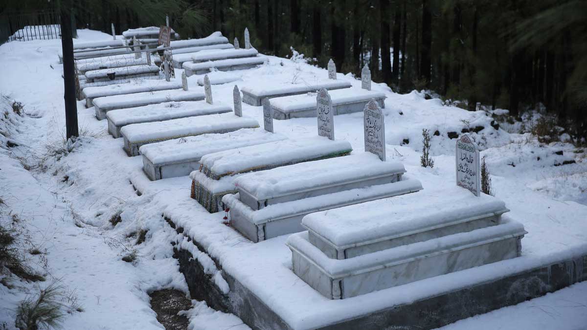 Murree aid