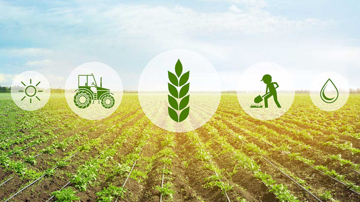 agriculture sector