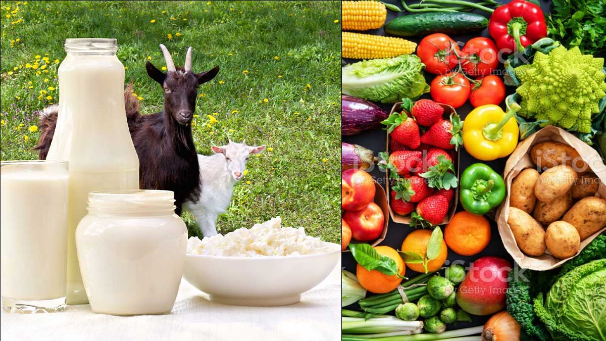 organic milk fruit vegetable