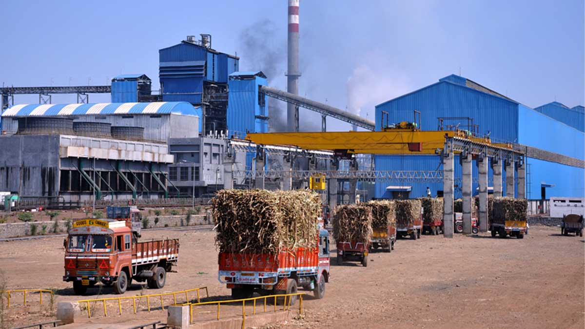 sugar sector
