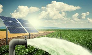 Solar Water Pumps