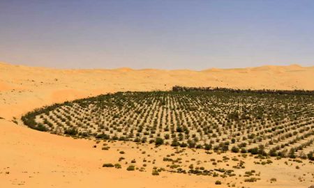billion trees Saudi Arabia