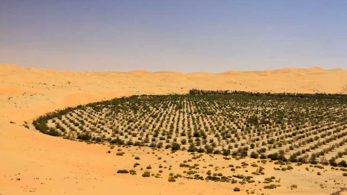 billion trees Saudi Arabia