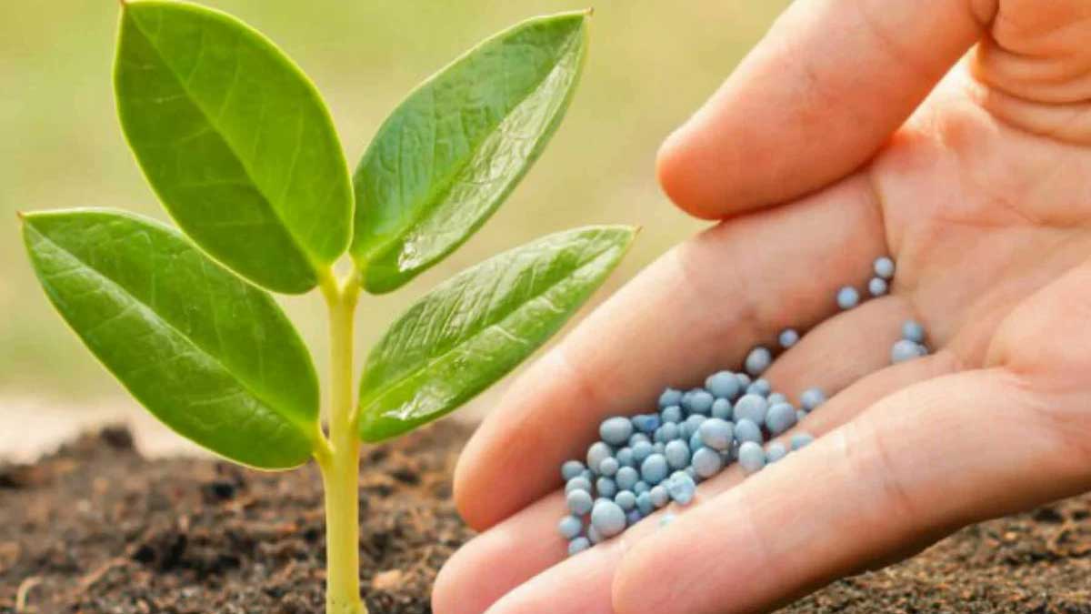 import of urea