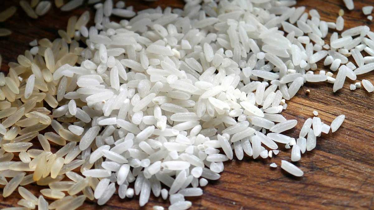 tonnes of rice