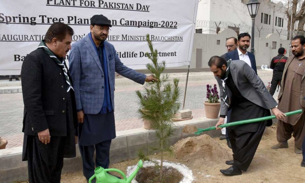 Balochistan trees