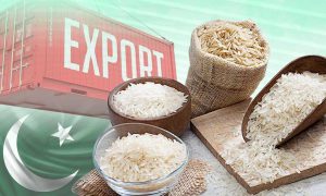 Pakistani rice
