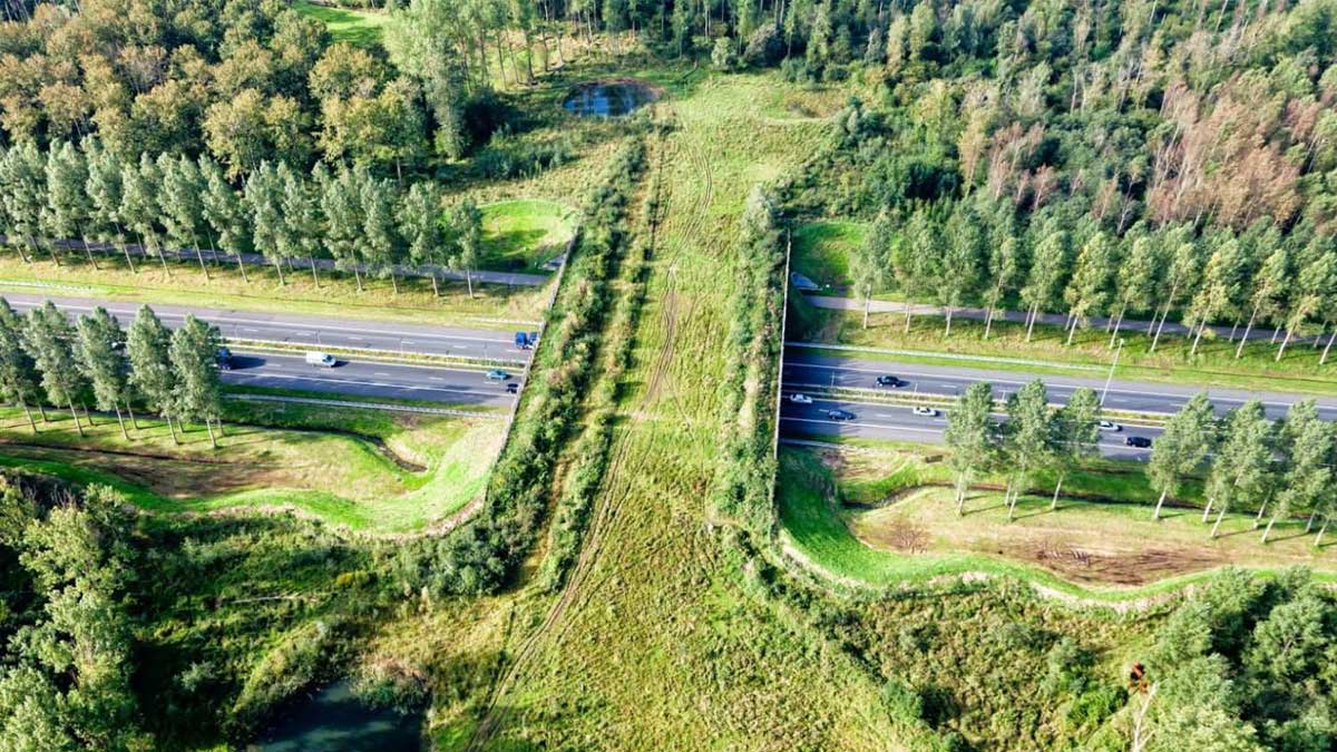 high altitude corridor