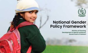 national gender policy