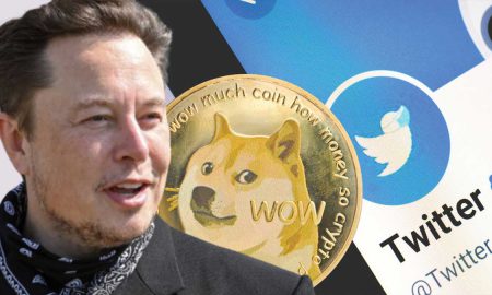 Twitter Elon