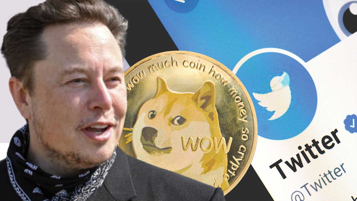 Twitter Elon