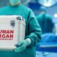 liver transplants