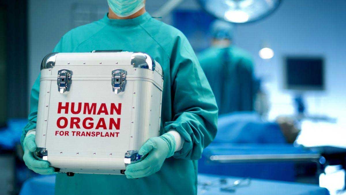 liver transplants