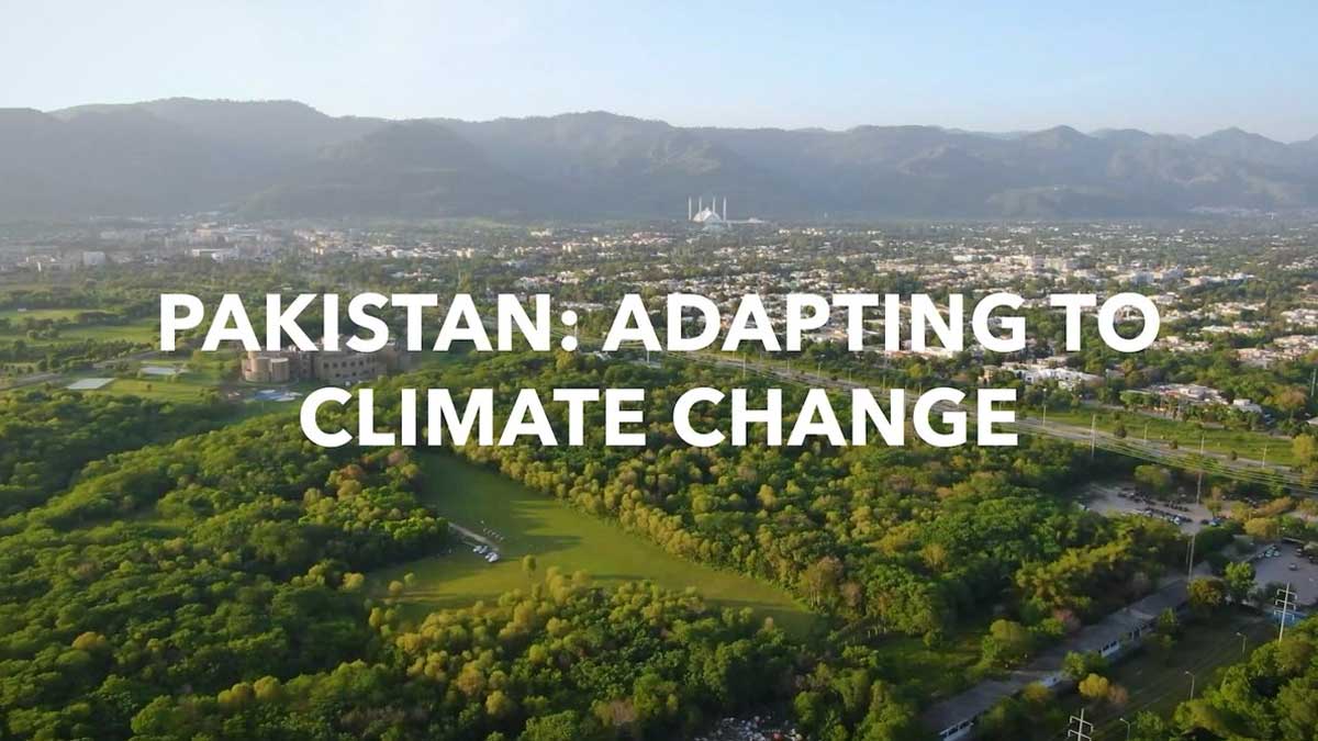 Billion Tree Tsunami