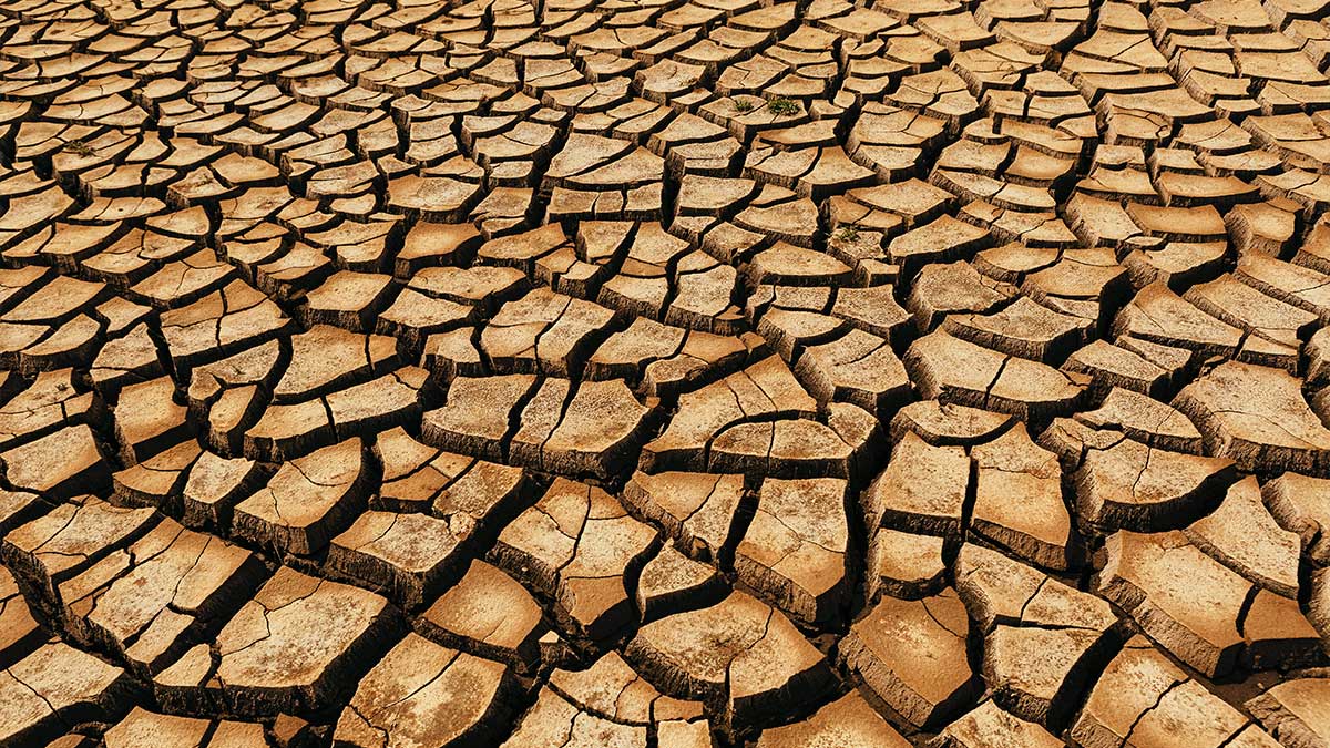 drought emergencies