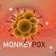 monkeypox