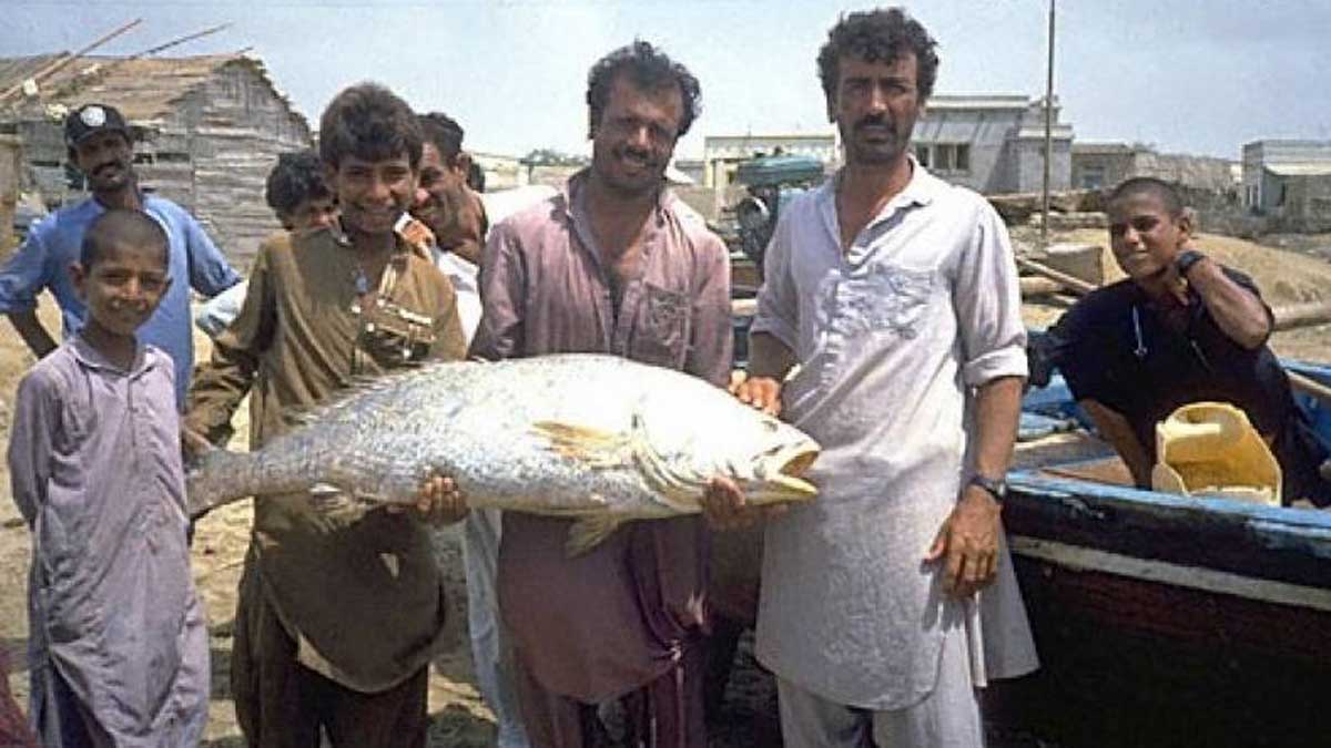 rare fish