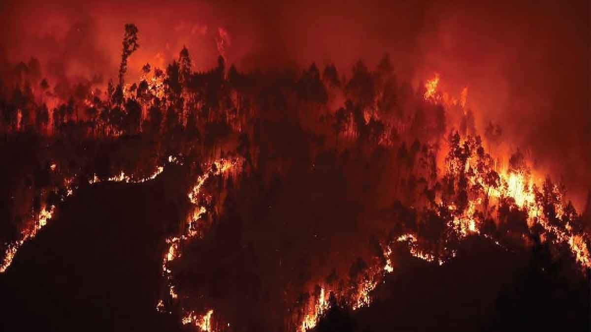 KP wildfires