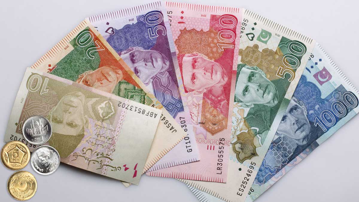 Pakistani currency