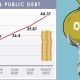 Total public debt