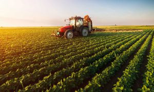 agriculture sector