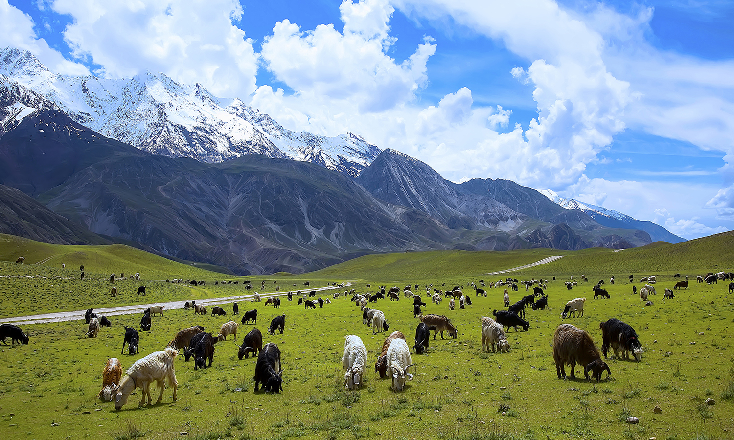 Chitral foreign tourists