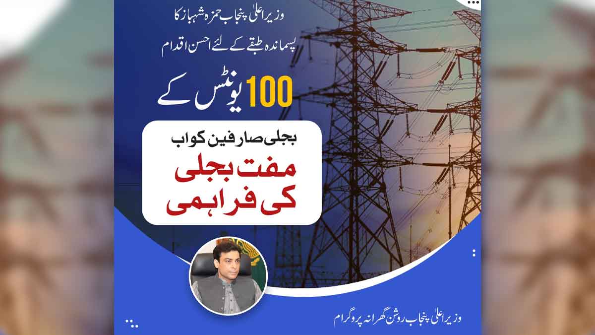 punjab electricity