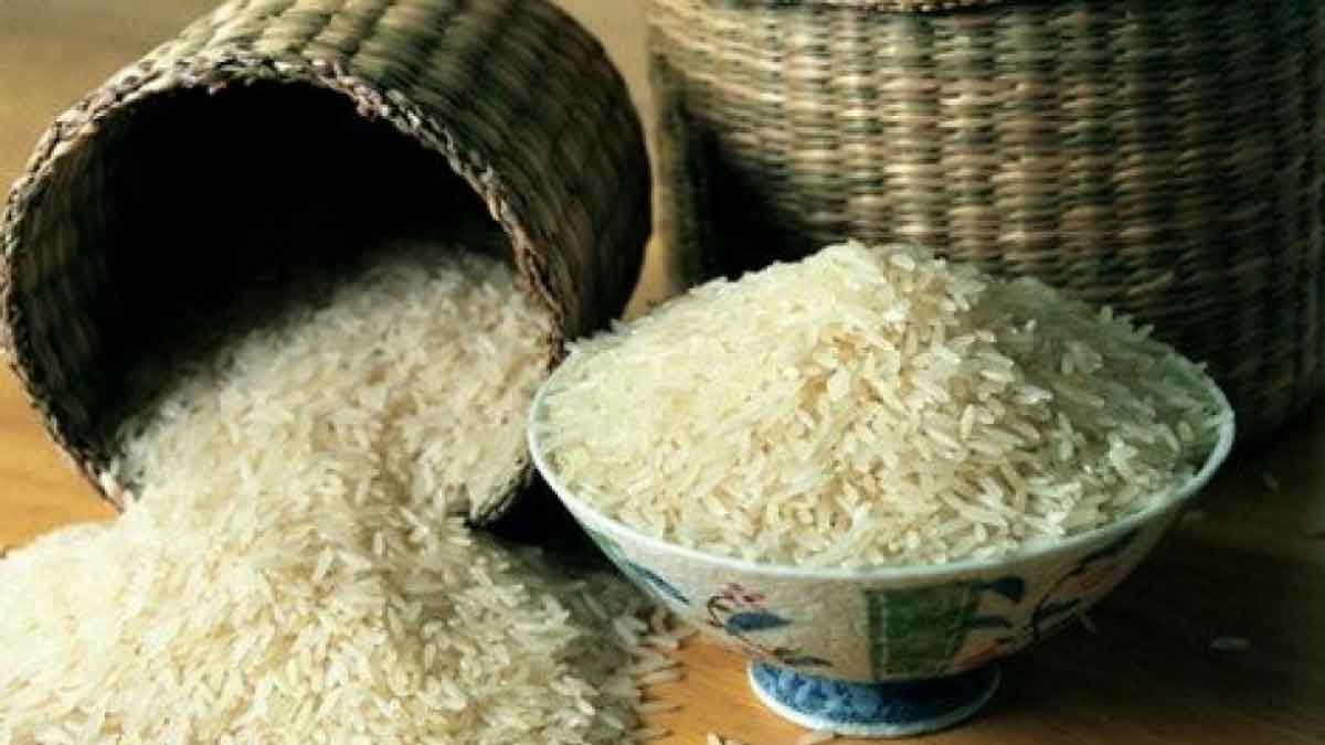 rice export