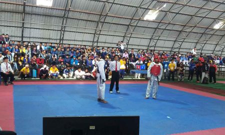 Taekwondo Championship